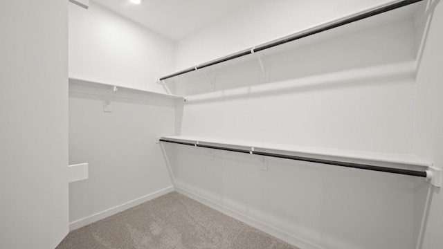 spacious closet featuring light colored carpet