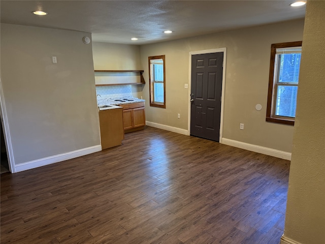 interior space with dark hardwood / wood-style flooring and sink