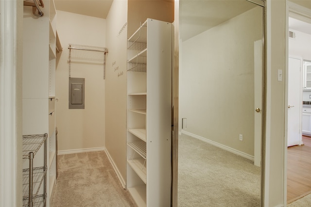 spacious closet featuring light carpet and electric panel