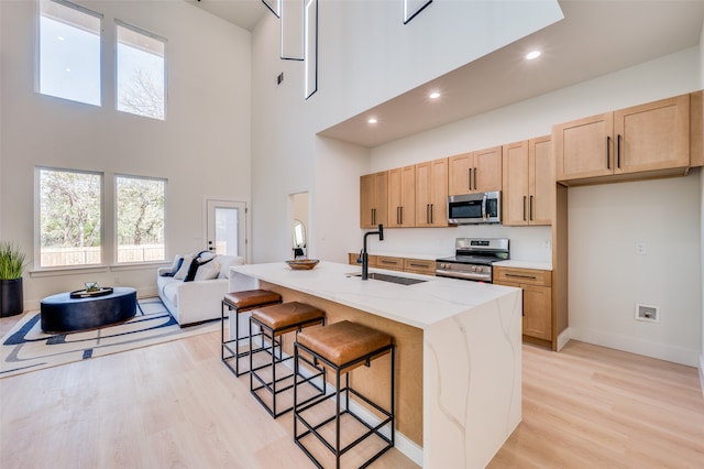 kitchen with sink, stainless steel appliances, a high ceiling, and an island with sink