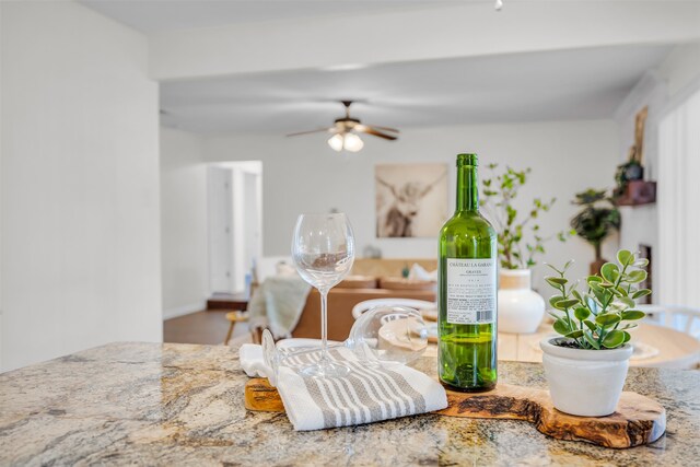 interior details with ceiling fan