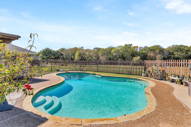 view of swimming pool with a patio