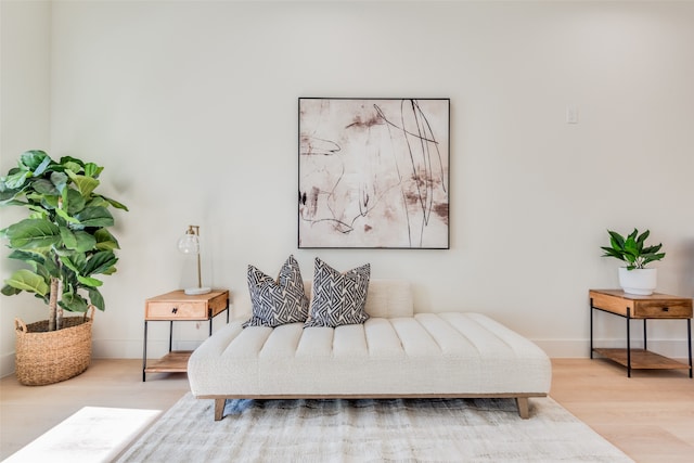 living area featuring light hardwood / wood-style flooring