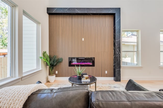 living room with hardwood / wood-style flooring and a wealth of natural light