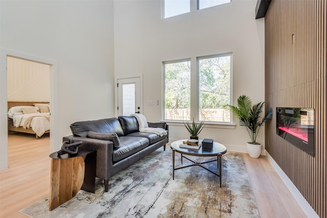 living room with hardwood / wood-style floors and a high ceiling