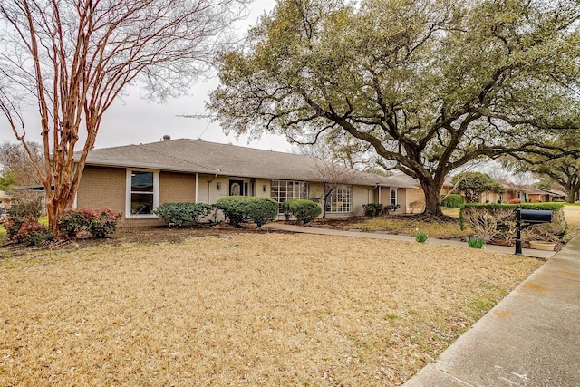 ranch-style home with a front yard and brick siding