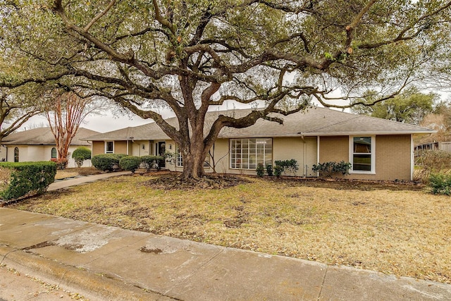 single story home with brick siding and a front lawn