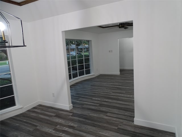 interior space featuring dark hardwood / wood-style floors and a healthy amount of sunlight