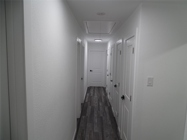 hallway with dark hardwood / wood-style flooring