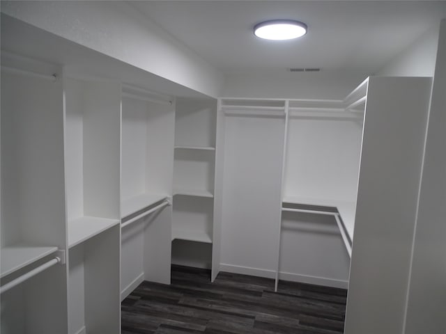 walk in closet featuring dark wood-type flooring