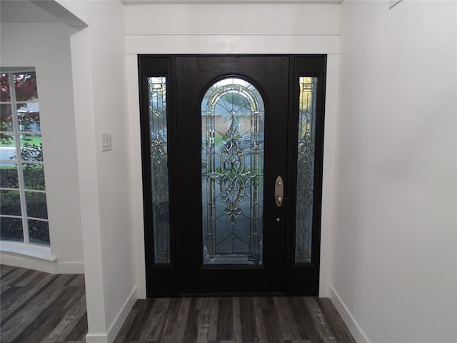 foyer entrance featuring a healthy amount of sunlight and dark hardwood / wood-style floors