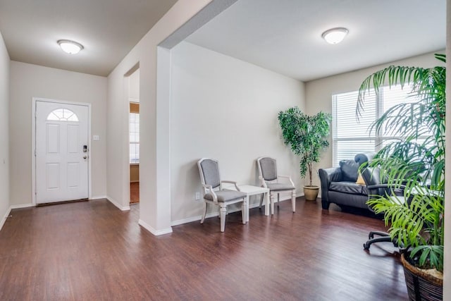 entrance foyer with dark hardwood / wood-style floors