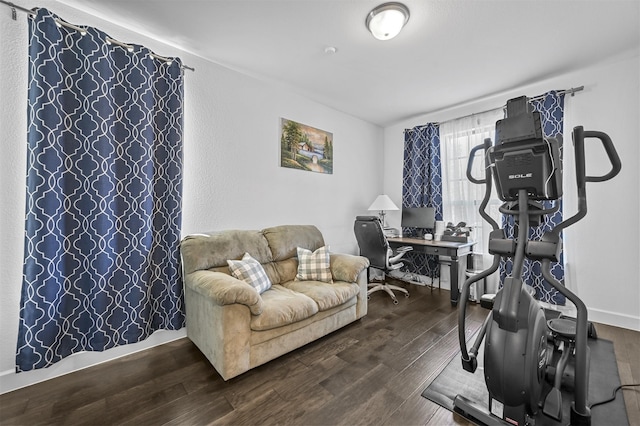 exercise area with hardwood / wood-style floors