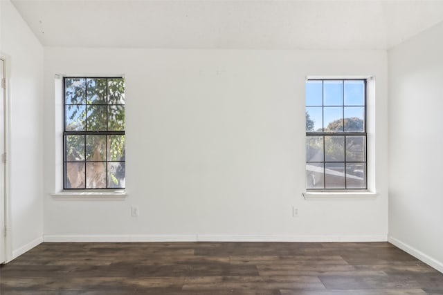 spare room featuring dark hardwood / wood-style flooring and a wealth of natural light