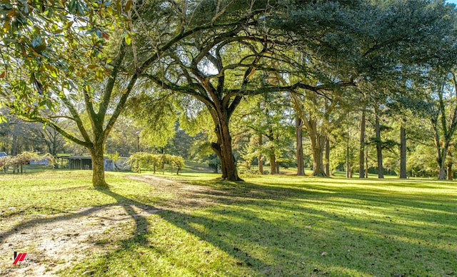 view of home's community featuring a lawn