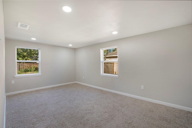 empty room featuring carpet flooring and plenty of natural light