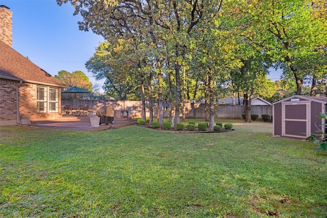 view of yard featuring a storage unit and a patio area