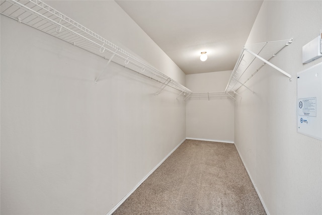 walk in closet with carpet flooring