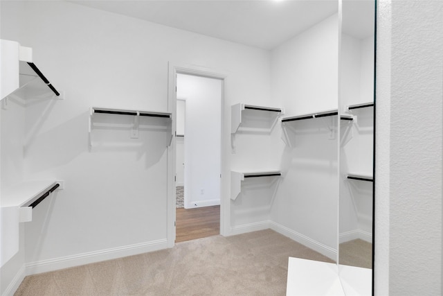 spacious closet featuring light colored carpet