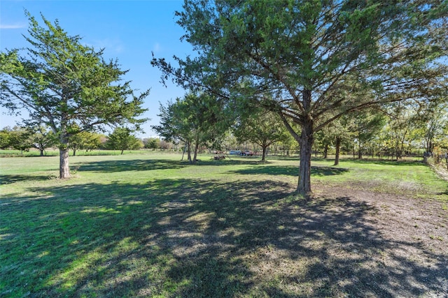 5795 Spillane St, Nevada, TX 75173 - view of yard