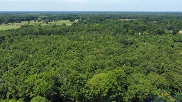 CR1203 Central Rd, Daingerfield TX, 75638 land for sale