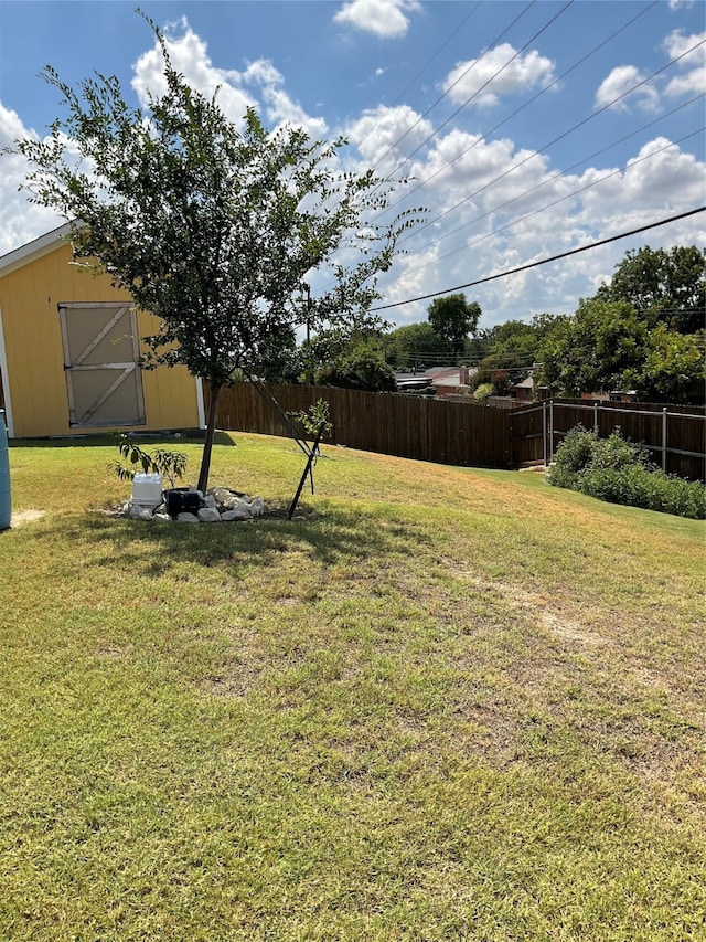 view of yard with a shed