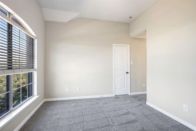 empty room featuring carpet flooring, lofted ceiling, and a wealth of natural light