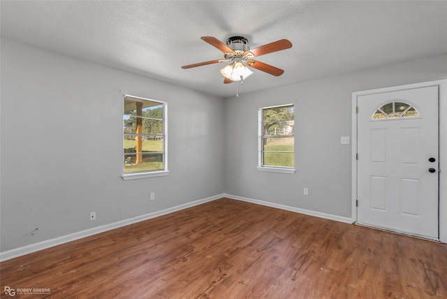 foyer with a wealth of natural light, wood-type flooring, and a textured ceiling