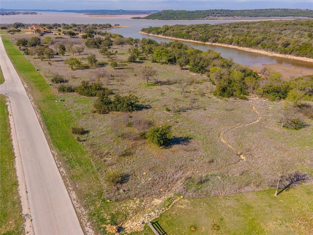 Listing photo 3 for 954R Frog Branch Ct, Possum Kingdom Lake TX 76449