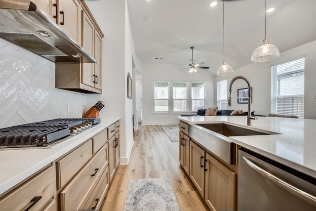 kitchen featuring plenty of natural light, stainless steel appliances, hanging light fixtures, and light hardwood / wood-style flooring