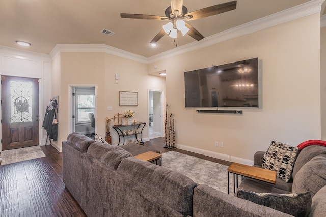 living room featuring dark hardwood / wood-style floors, ceiling fan, and crown molding