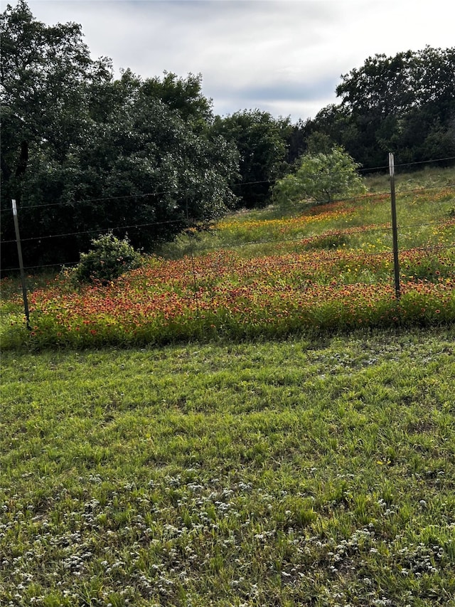 944 Land Of Goshen, Springtown, TX 76082