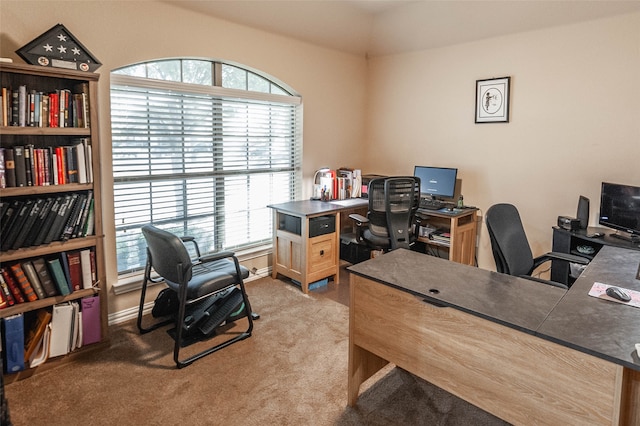 home office with carpet flooring