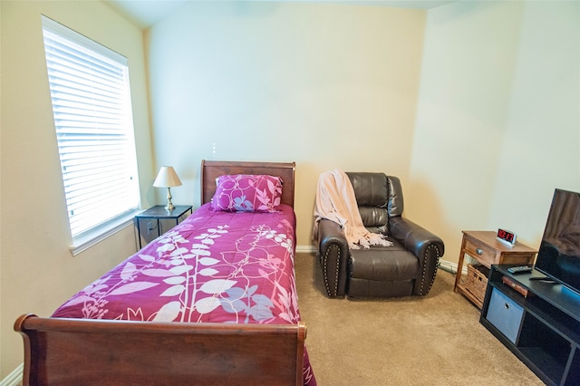 bedroom featuring light colored carpet and multiple windows