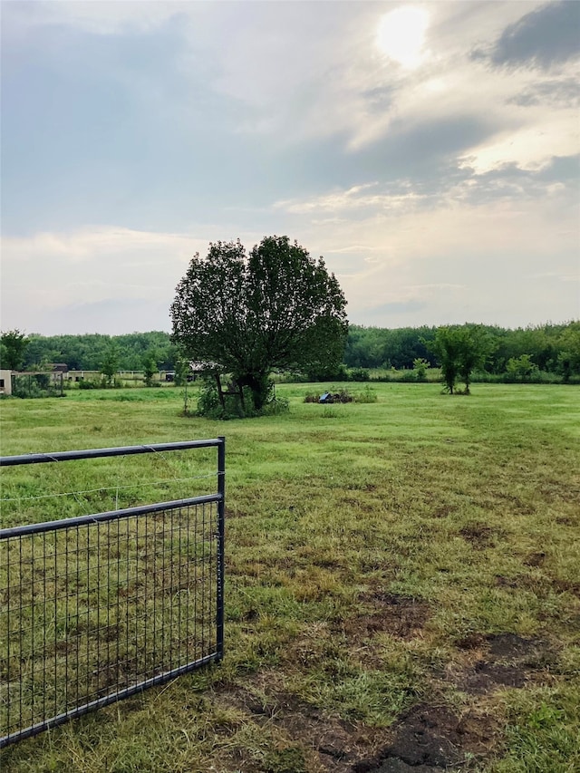 view of yard with a rural view