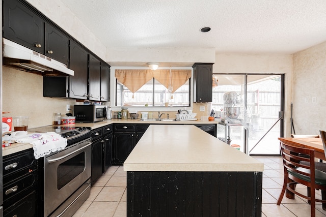 kitchen with light countertops, a wealth of natural light, dark cabinets, and appliances with stainless steel finishes