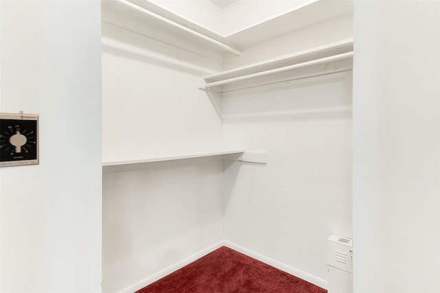 walk in closet featuring carpet floors