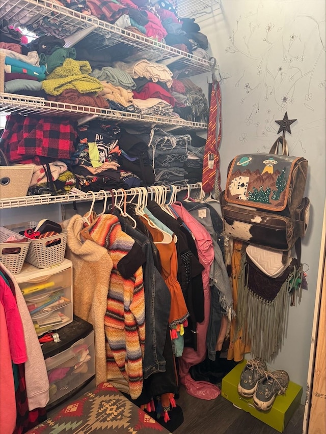 walk in closet featuring wood finished floors