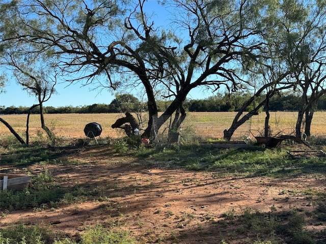 view of yard featuring a rural view