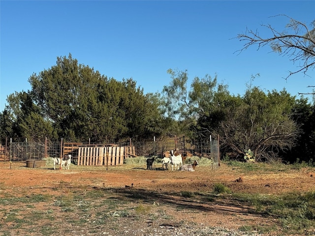 view of yard featuring a rural view and fence