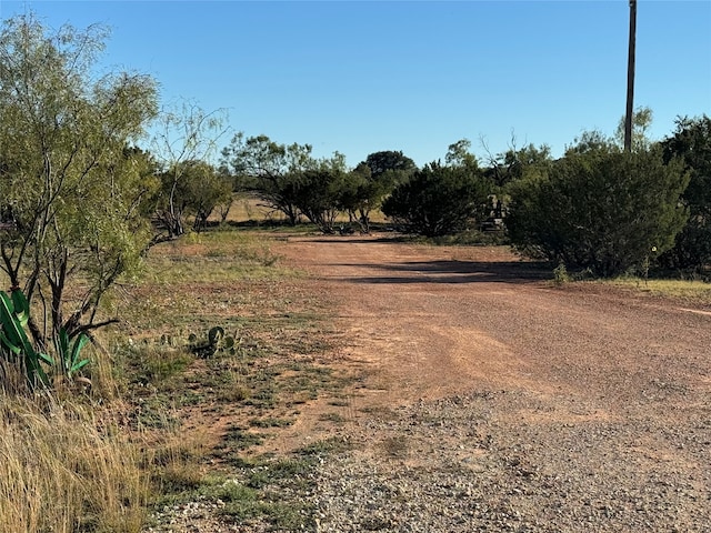 view of road with a rural view