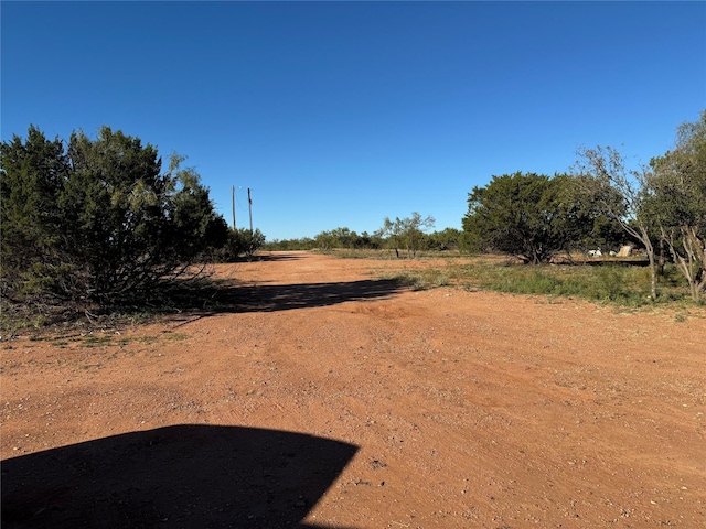 view of yard featuring a rural view