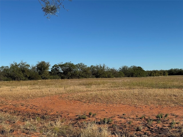 view of local wilderness featuring a rural view