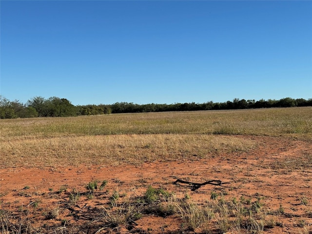 view of local wilderness featuring a rural view