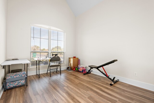 workout room featuring hardwood / wood-style flooring and high vaulted ceiling