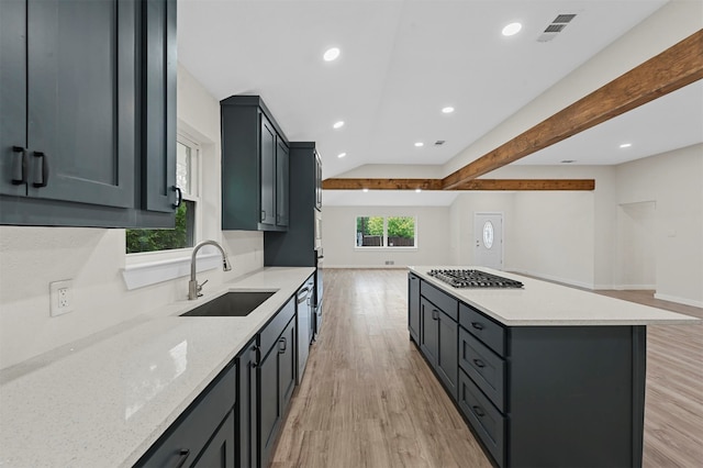 kitchen with a healthy amount of sunlight, light hardwood / wood-style floors, sink, and stainless steel appliances