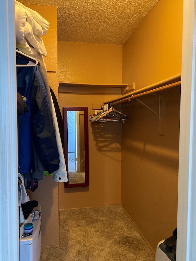 spacious closet featuring carpet floors