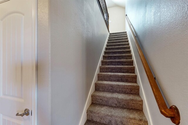 staircase featuring carpet