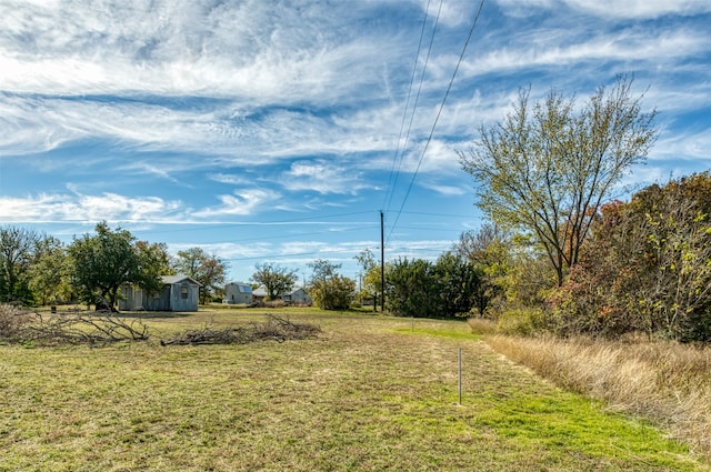 view of yard featuring a storage unit