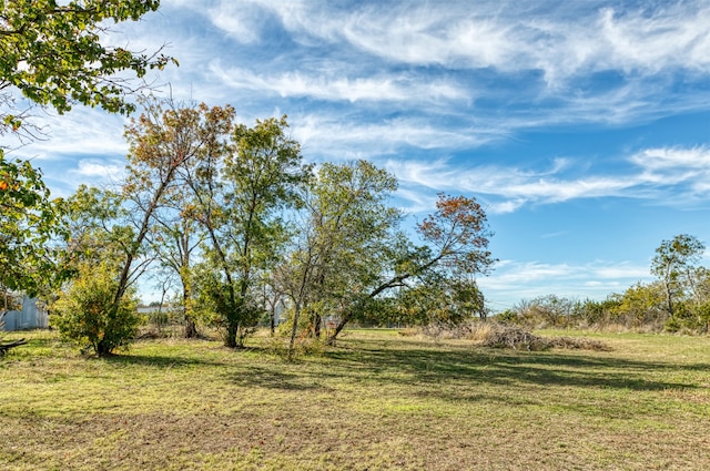 view of nature